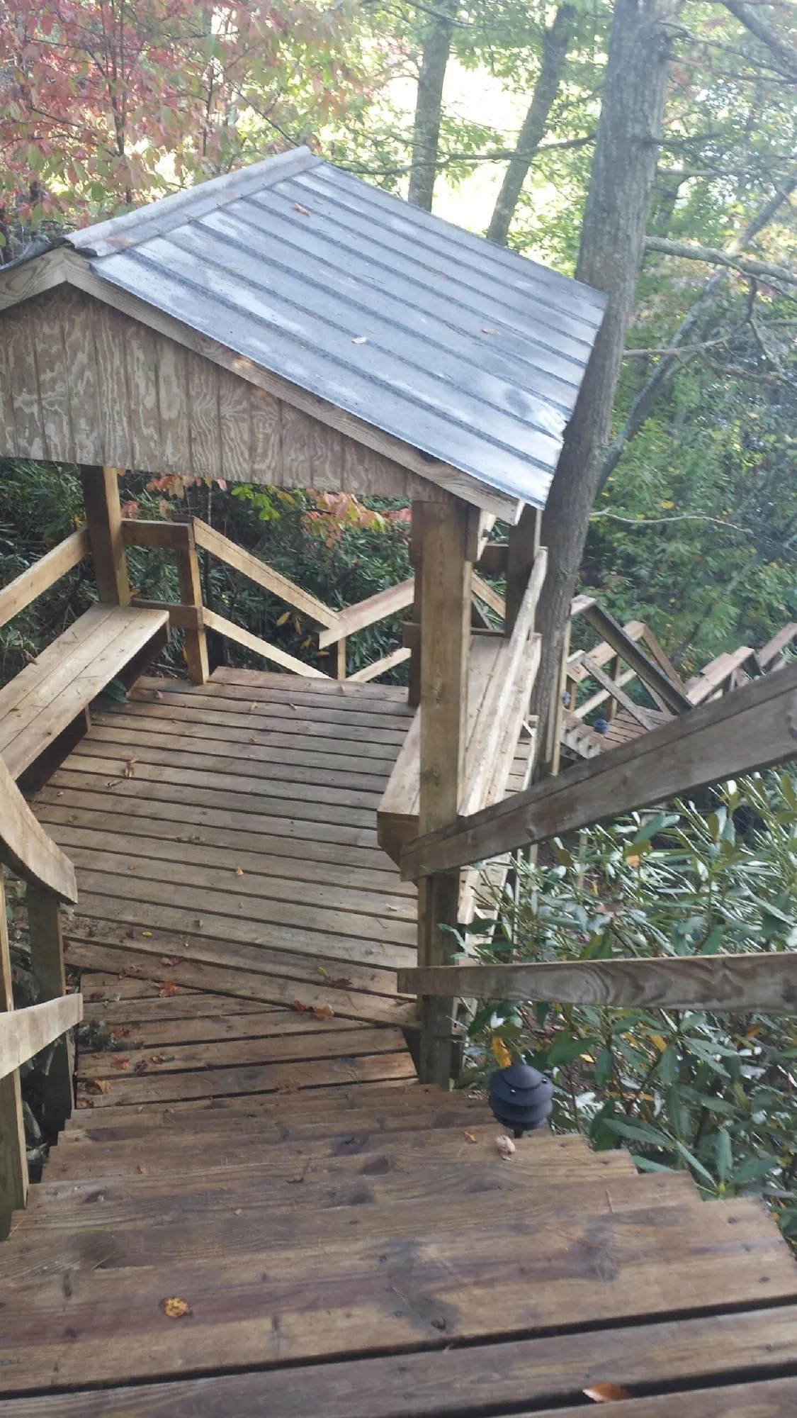 Metal roofed shelter over wooden steps on a wooded walkway — Skylight Repair & Installation work by our crew in Sammamish